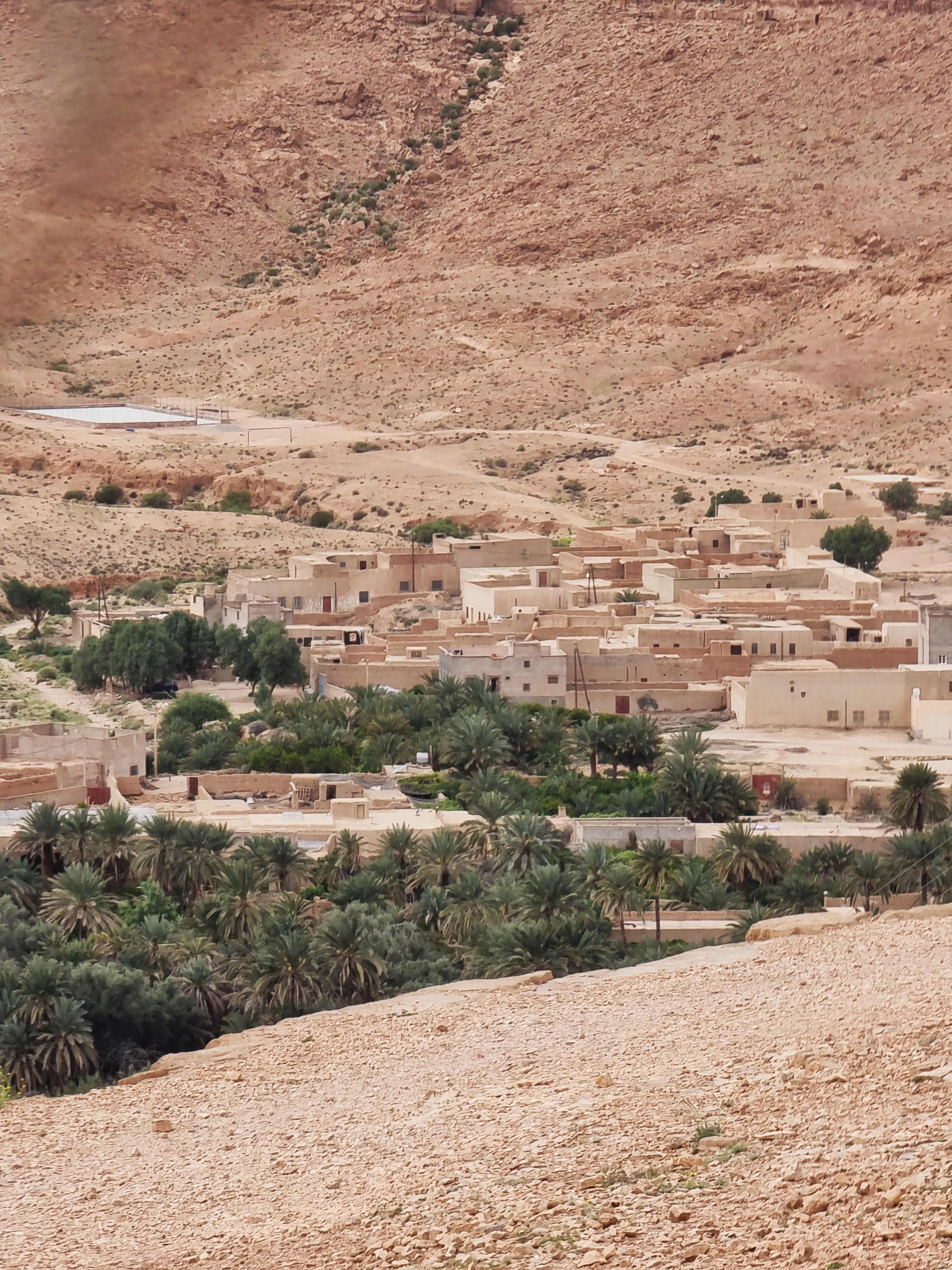 desert